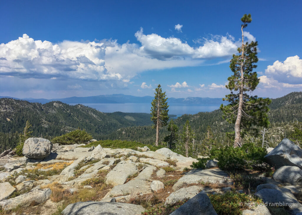 High Wild Ramblings