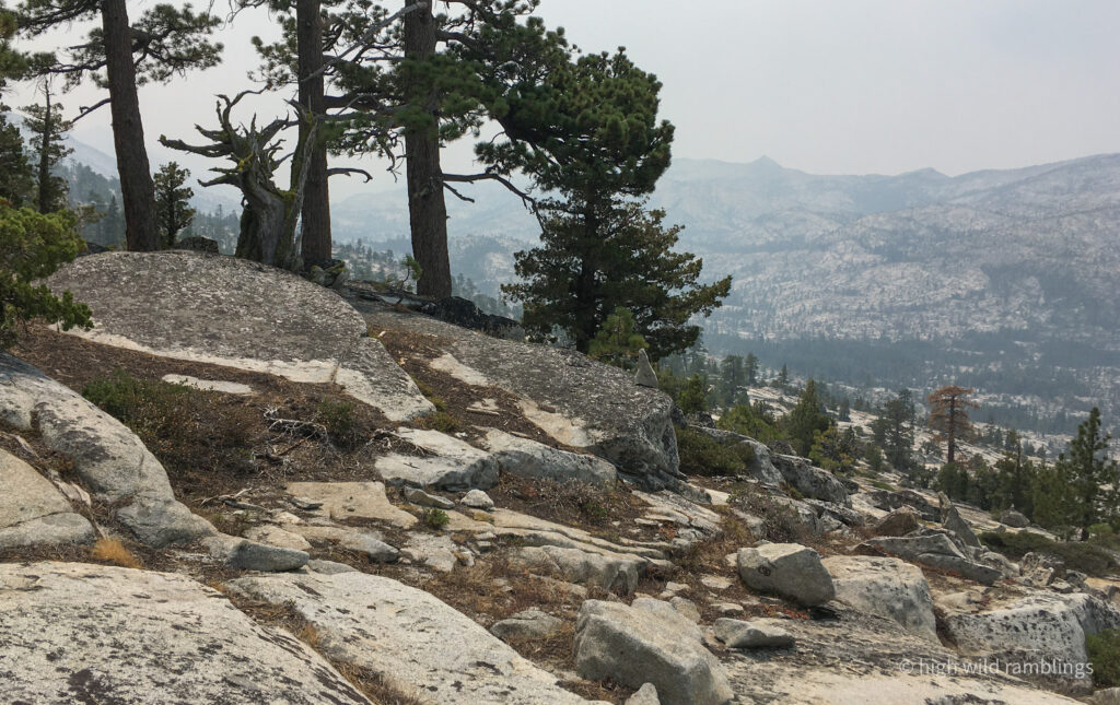 High Wild Ramblings