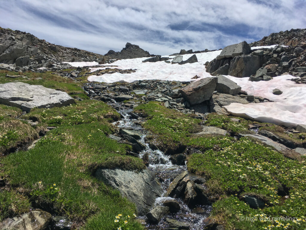 High Wild Ramblings