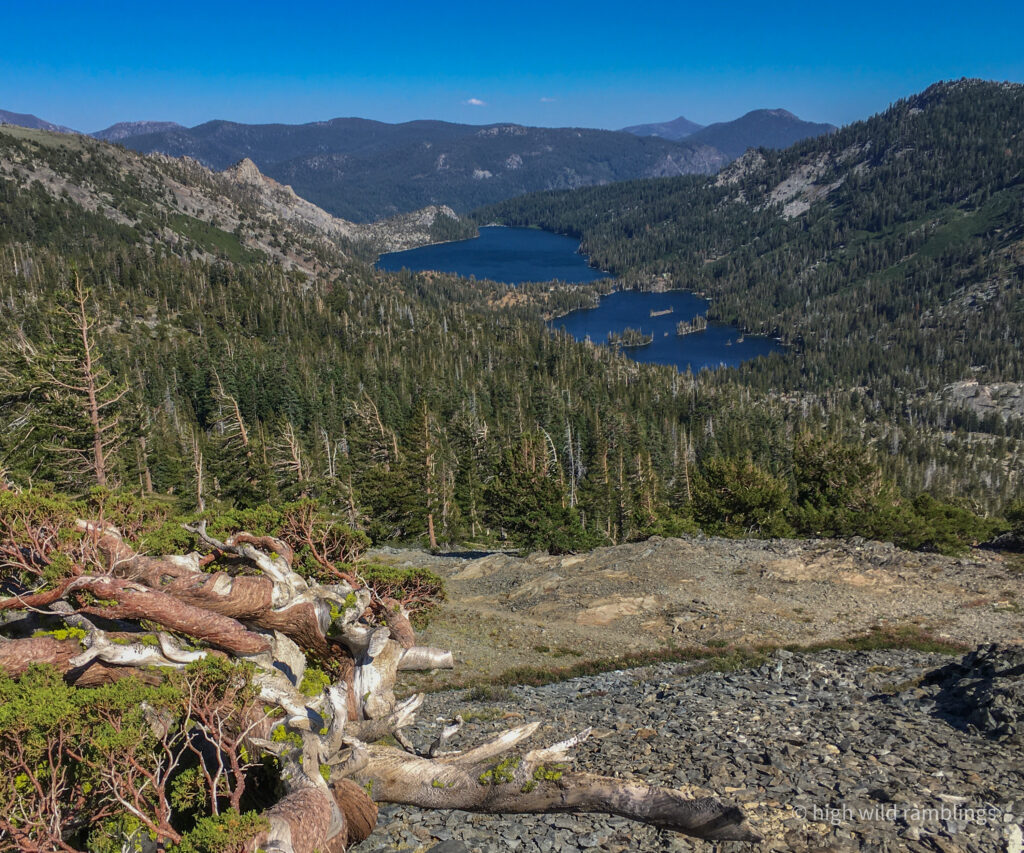 High Wild Ramblings