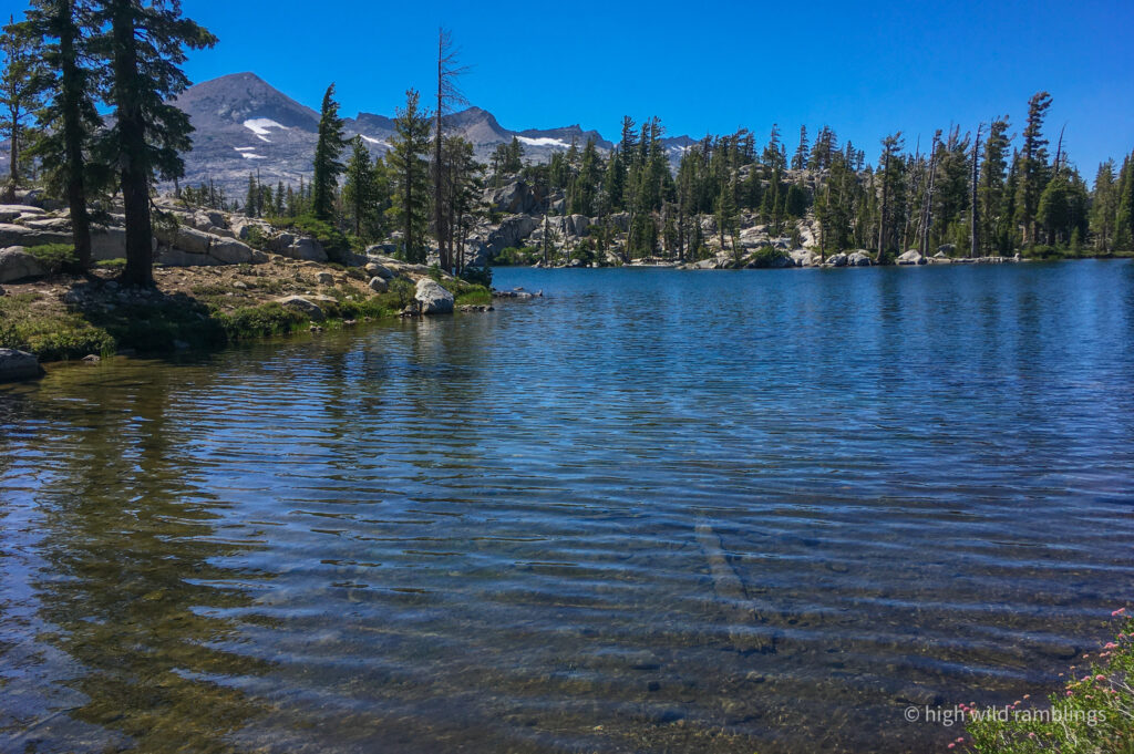 High Wild Ramblings