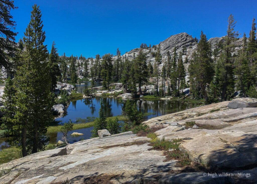 High Wild Ramblings