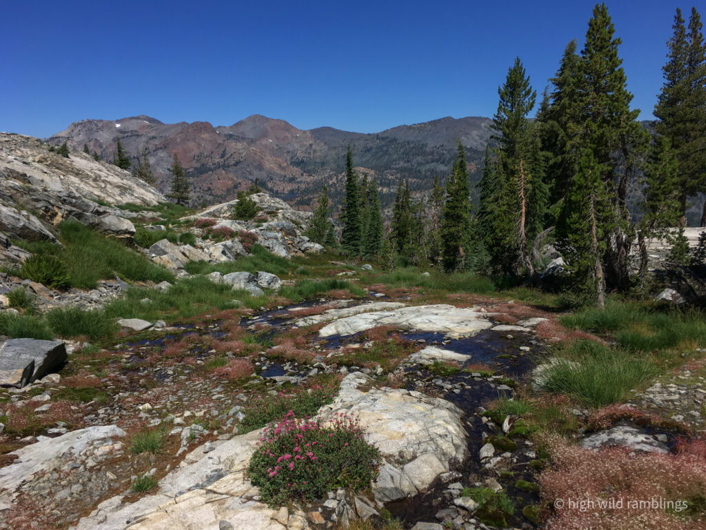 High Wild Ramblings