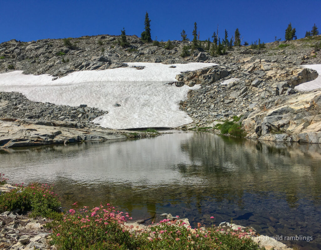High Wild Ramblings