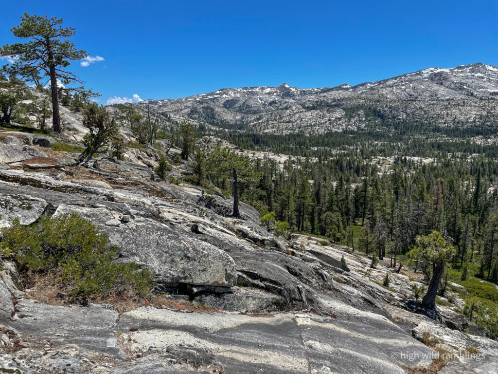 High Wild Ramblings