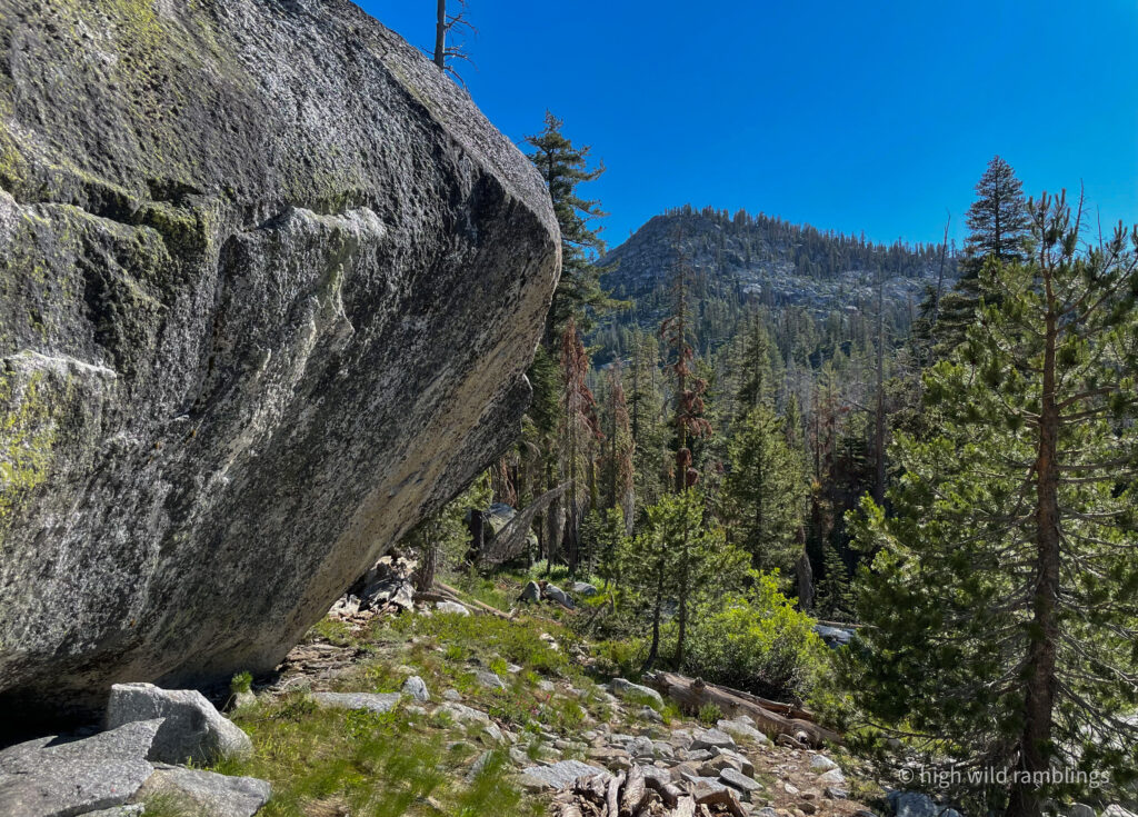 High Wild Ramblings