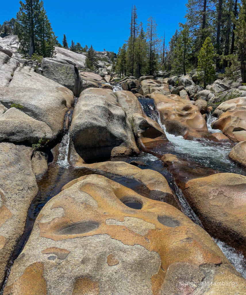 High Wild Ramblings