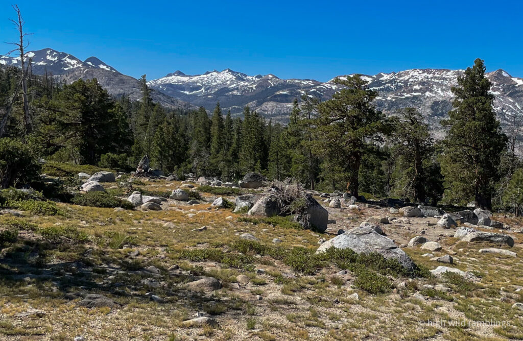 High Wild Ramblings
