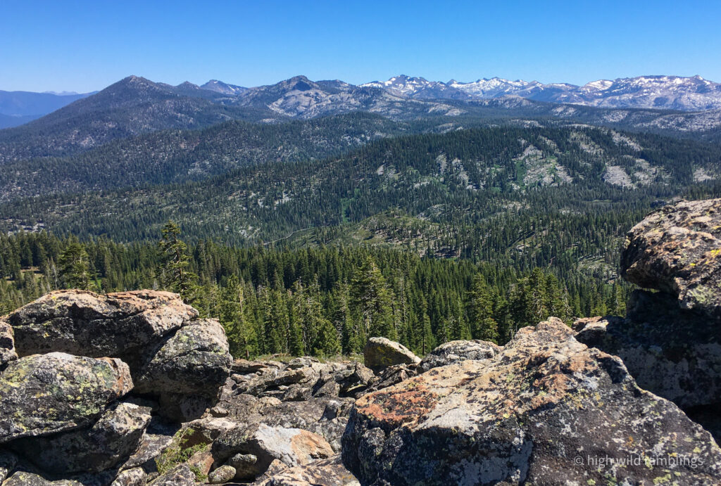 High Wild Ramblings