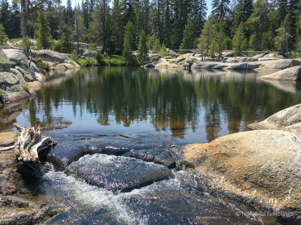 High Wild Ramblings
