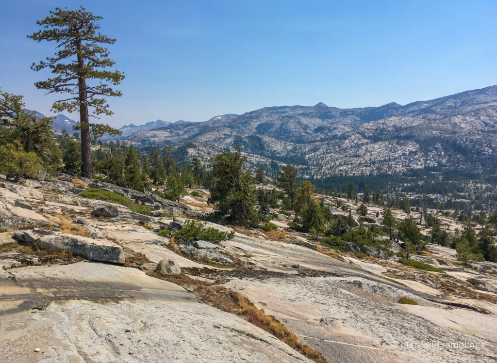 High Wild Ramblings