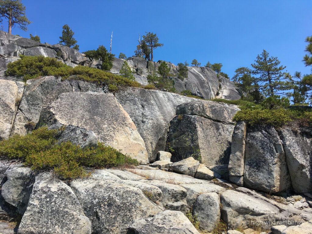 High Wild Ramblings