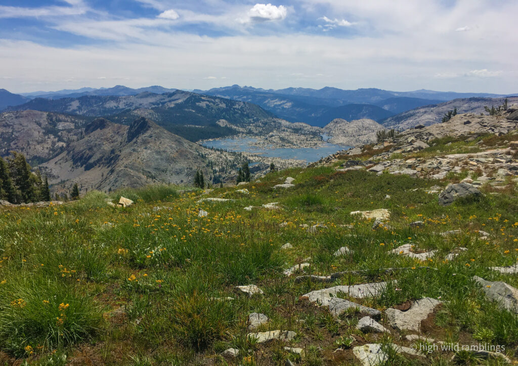 High Wild Ramblings