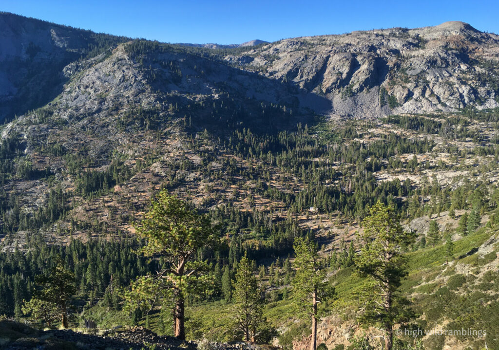 High Wild Ramblings