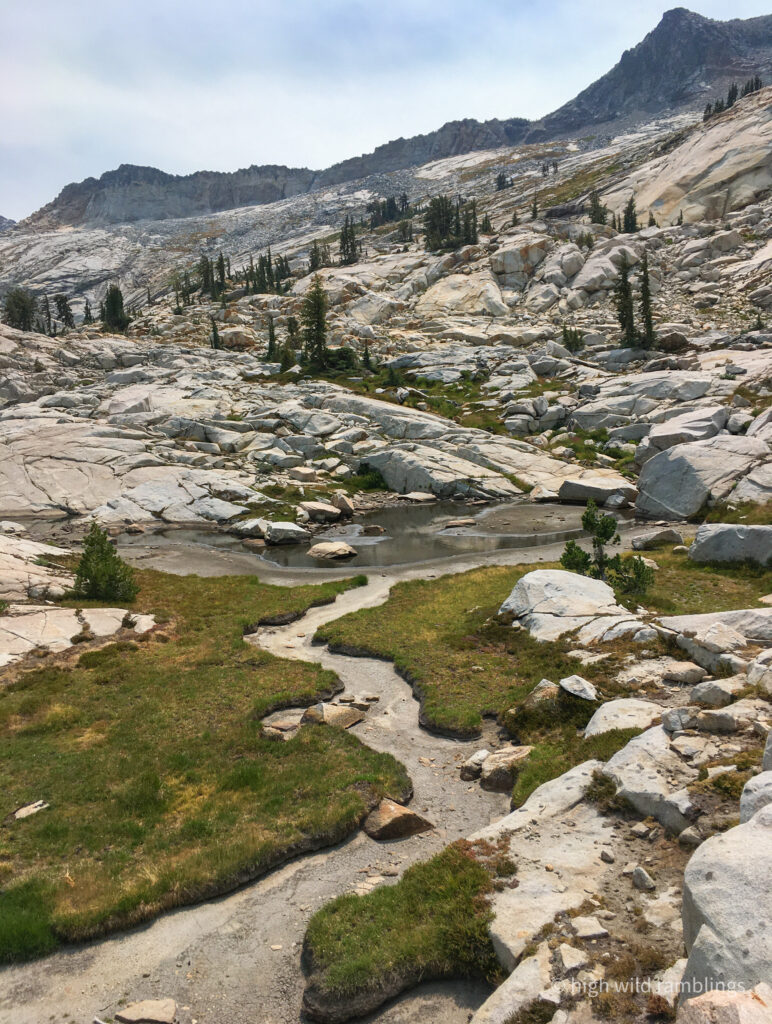 High Wild Ramblings