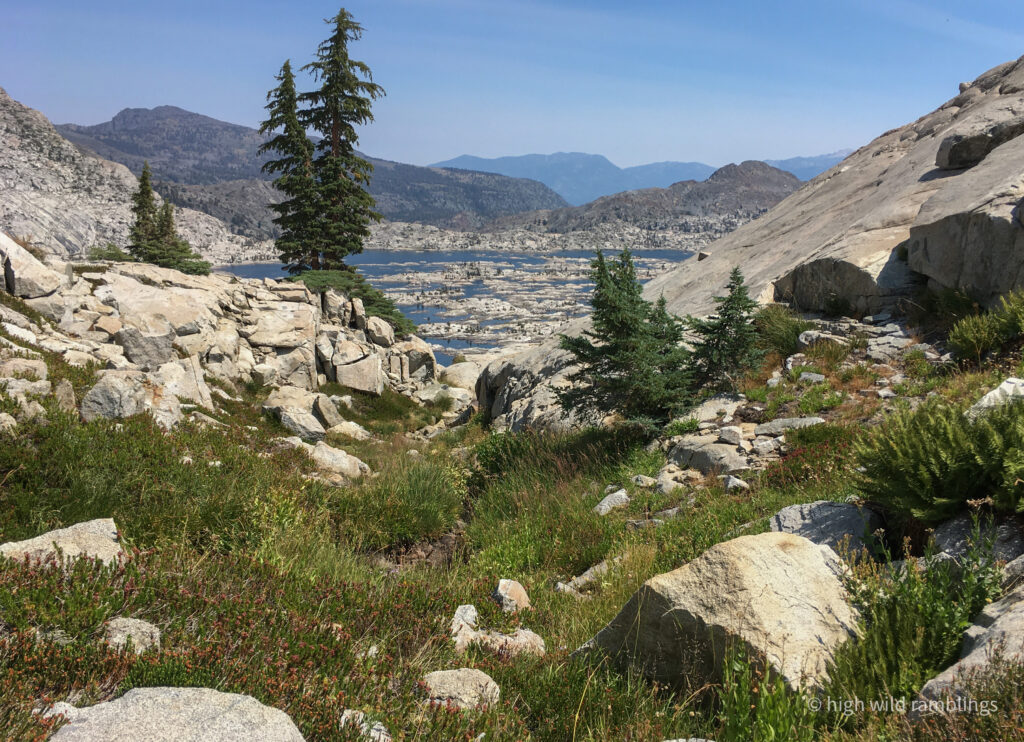 High Wild Ramblings