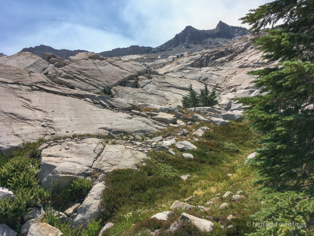 High Wild Ramblings