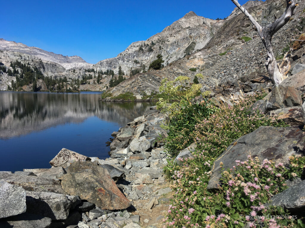 High Wild Ramblings