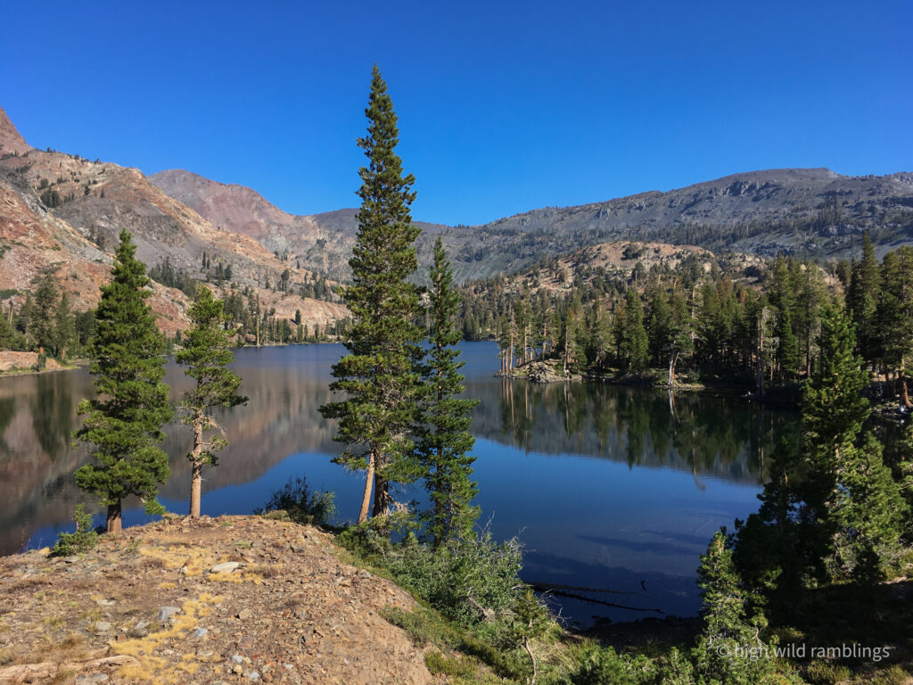 High Wild Ramblings