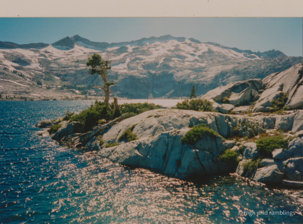 High Wild Ramblings