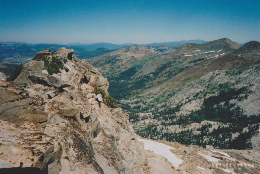 High Wild Ramblings