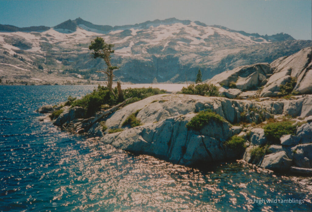 High Wild Ramblings