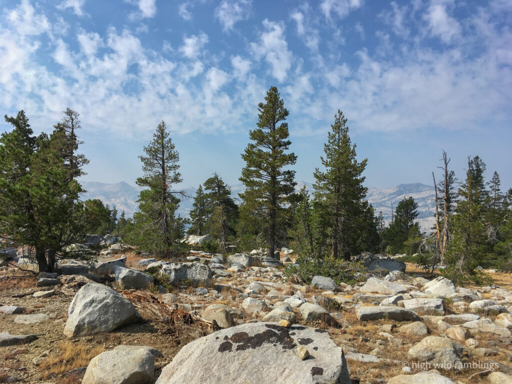 High Wild Ramblings