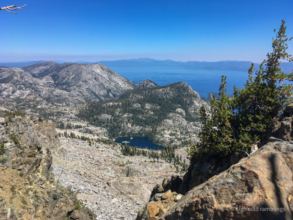 High Wild Ramblings