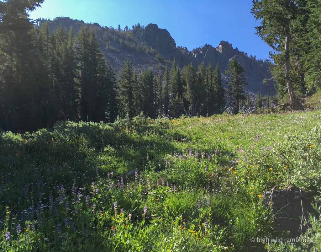High Wild Ramblings
