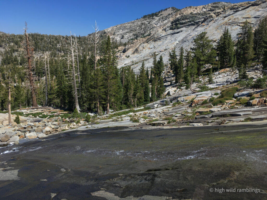 High Wild Ramblings