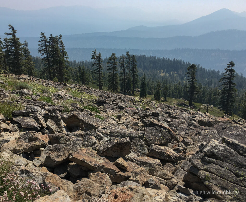 High Wild Ramblings