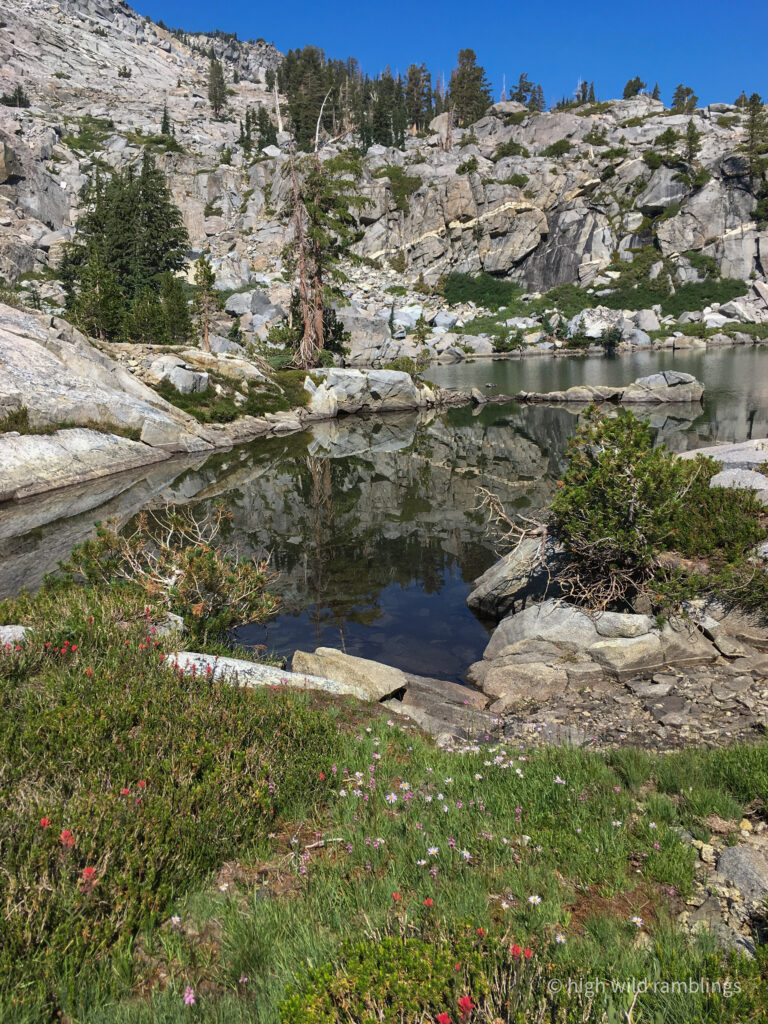 High Wild Ramblings