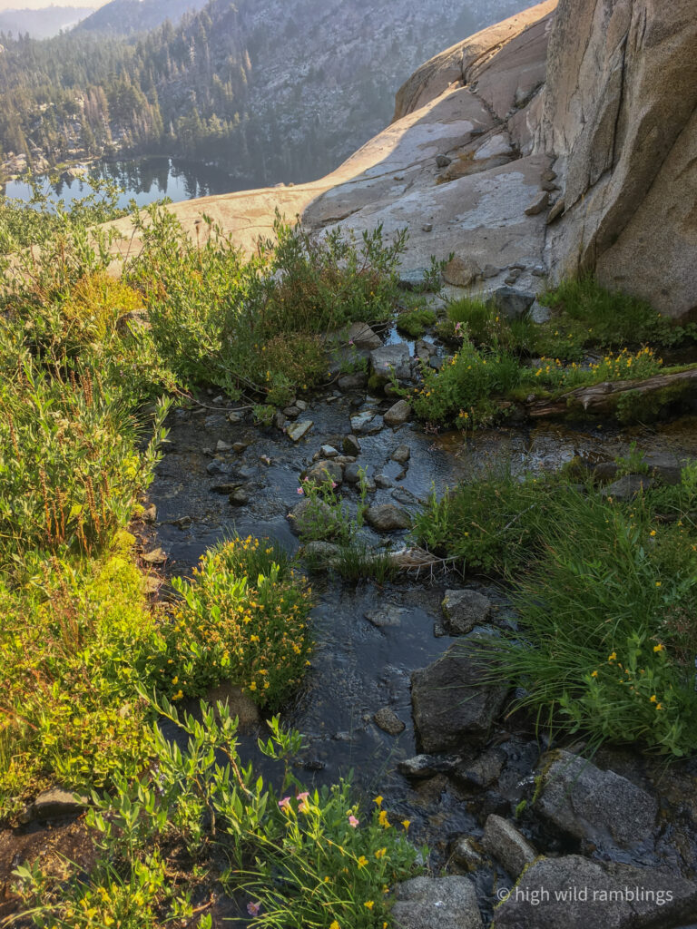 High Wild Ramblings