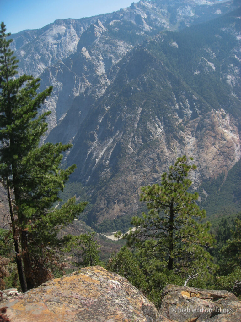 High Wild Ramblings