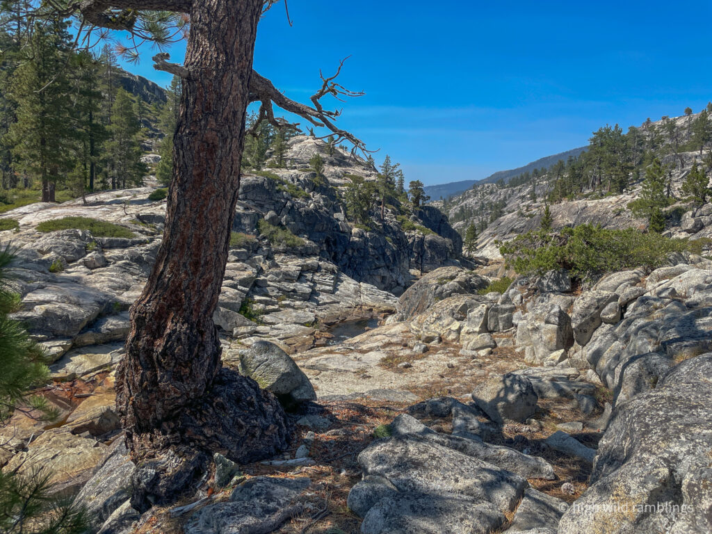 High Wild Ramblings