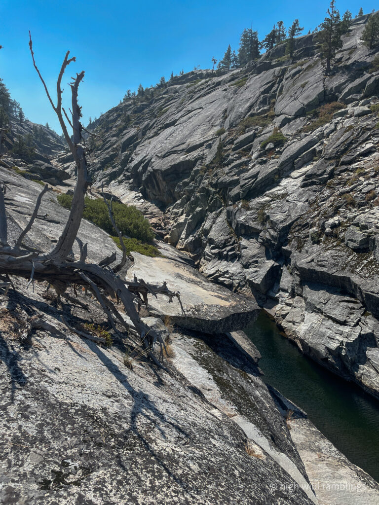 High Wild Ramblings