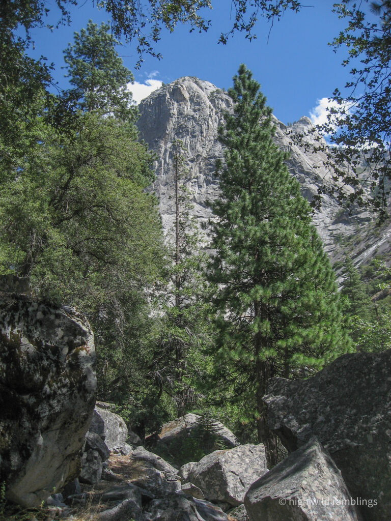 High Wild Ramblings