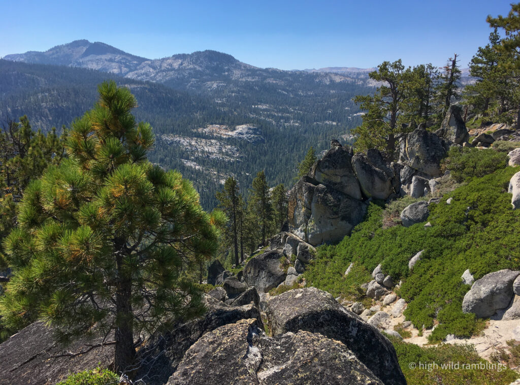 High Wild Ramblings