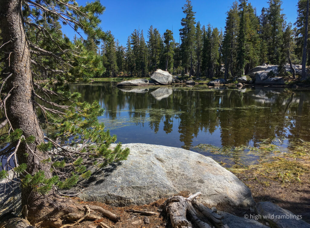 High Wild Ramblings