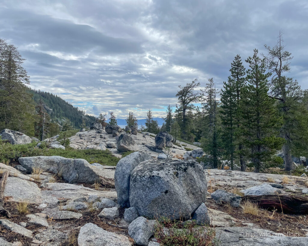 High Wild Ramblings