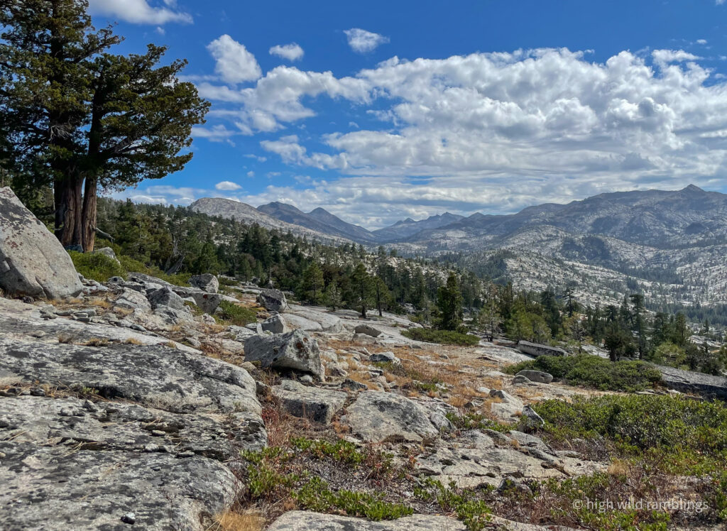 High Wild Ramblings