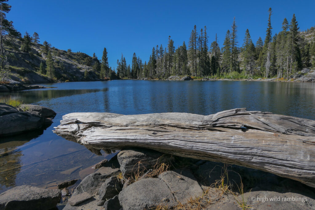 High Wild Ramblings