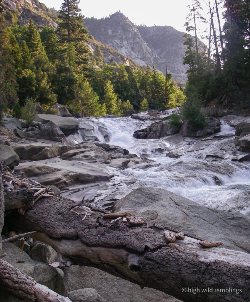 High Wild Ramblings