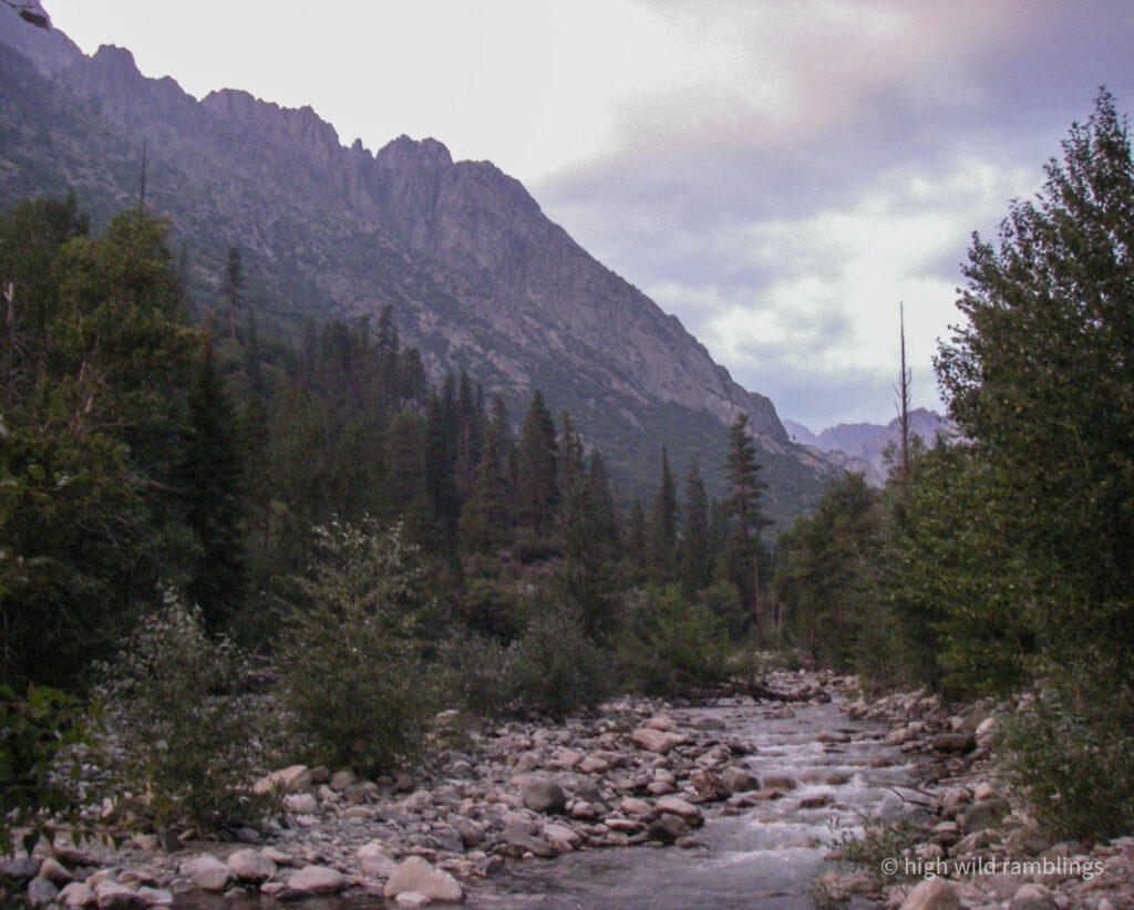 High Wild Ramblings