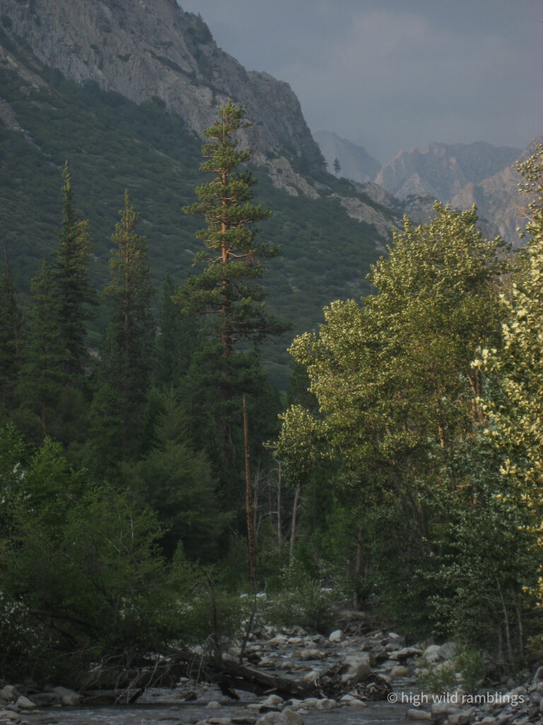 High Wild Ramblings