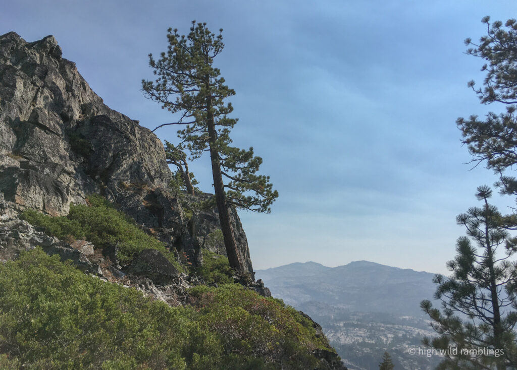 High Wild Ramblings
