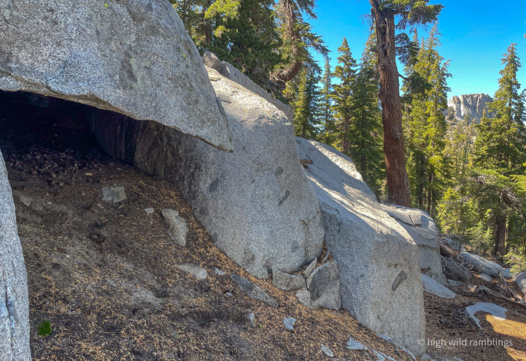 High Wild Ramblings