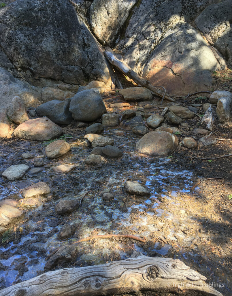 High Wild Ramblings
