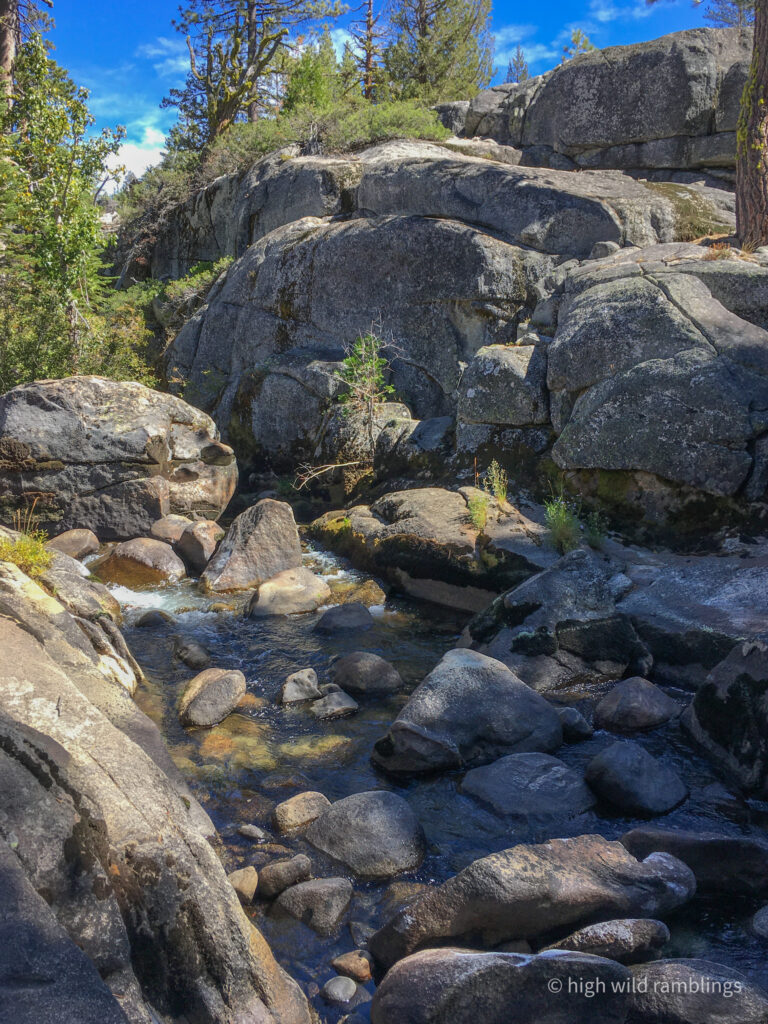 High Wild Ramblings