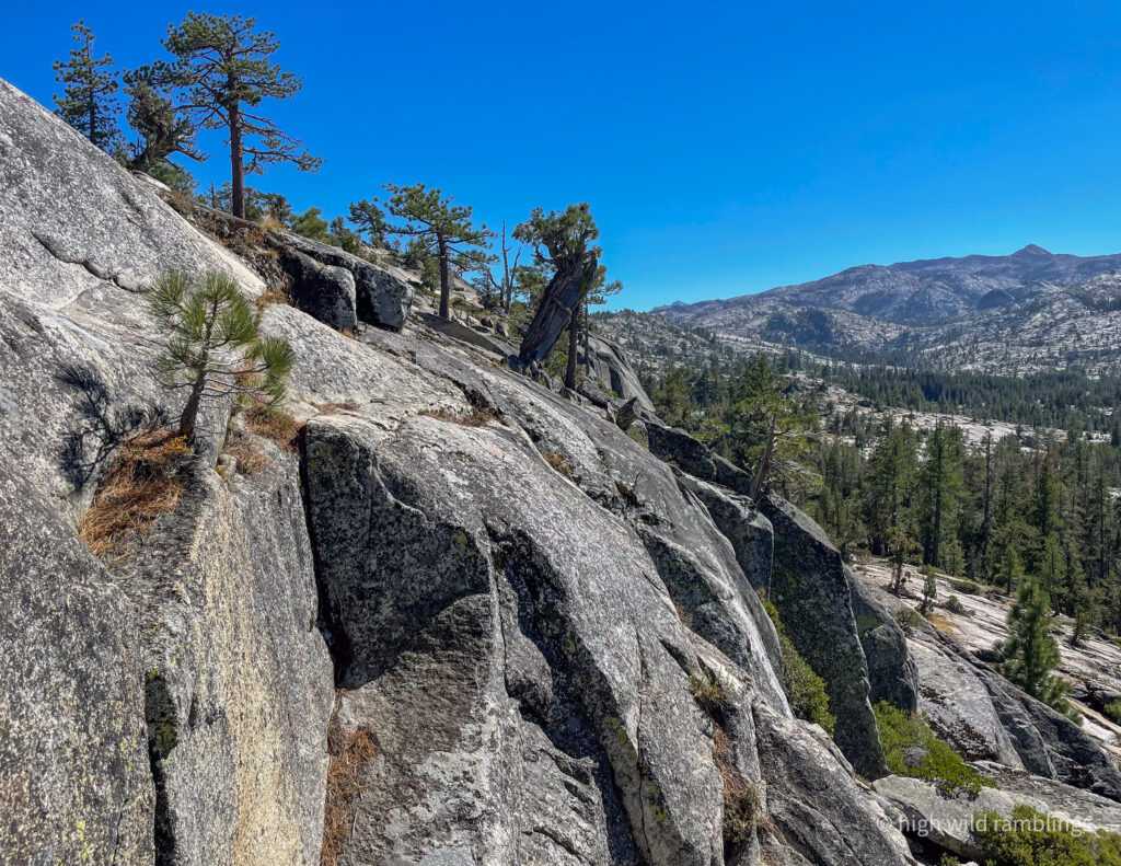 High Wild Ramblings